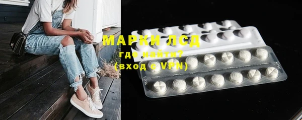индика Михайлов