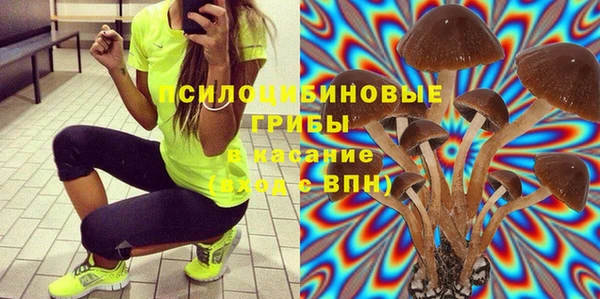2c-b Касимов