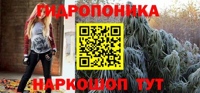 крисы Гусь-Хрустальный