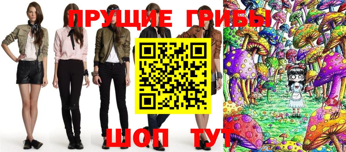 Зеленогорск  Галлюциногенные грибы Magic Shrooms  Вход с VPN  Галлюциногенные грибы Cubensis 