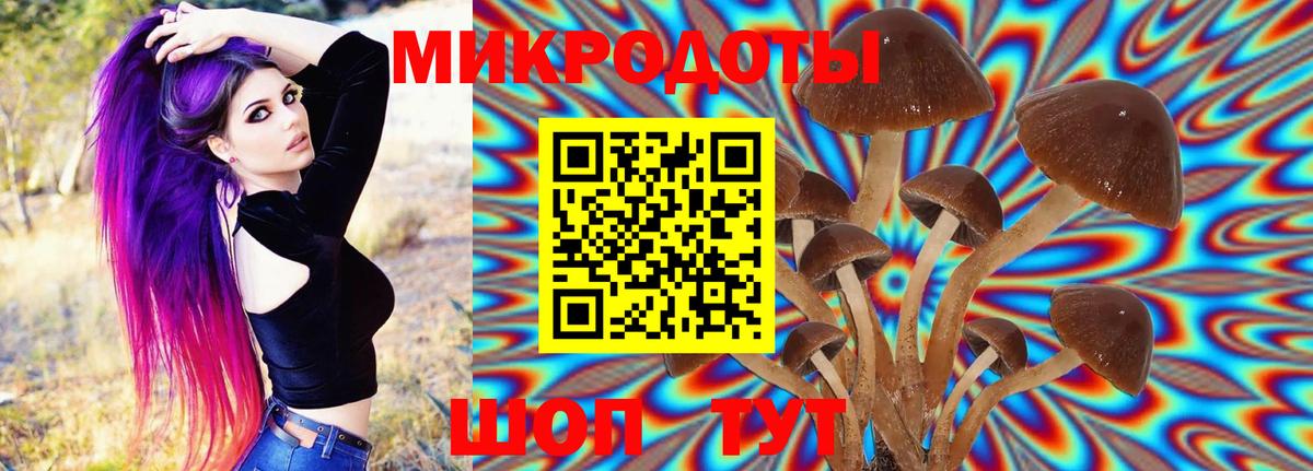 Псилоцибиновые грибы GOLDEN TEACHER Зеленогорск